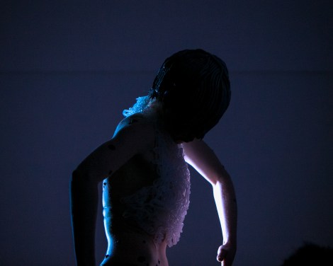 Audrey Dalton Photography | Pet, Portrait, Weddings and Product Photographer | Cherrylane, Delgany | Wicklow