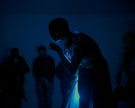 Audrey Dalton Photography | Pet, Portrait, Weddings and Product Photographer | Cherrylane, Delgany | Wicklow